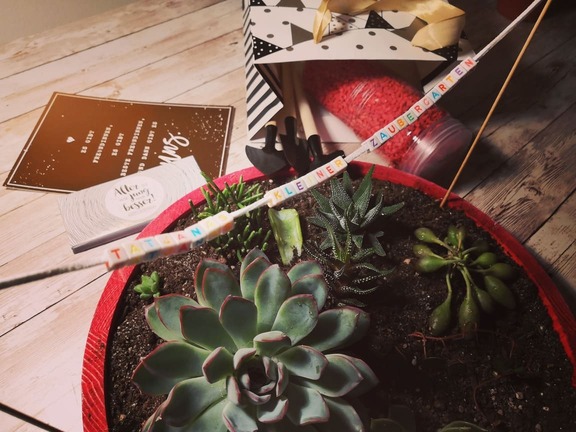 Der kreative Zaubergarten: DIY-Geschenk für Gartenliebhaber
