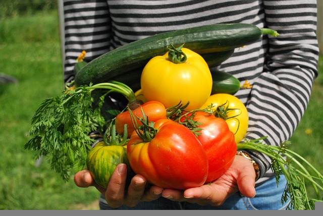 Gemüse aus dem Eigenanbau - schneller besser gesünder mit Bokashi